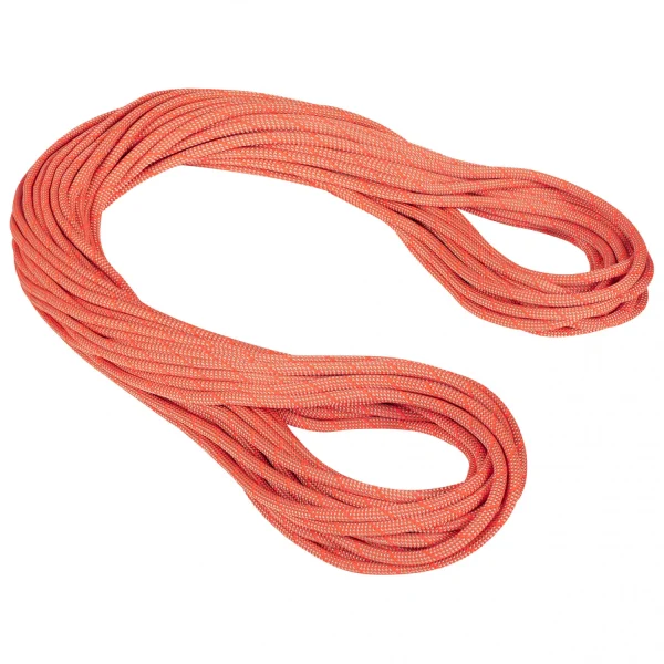 à prix promos Mammut – 9.8 Crag Classic Rope – Corde à Simple 4