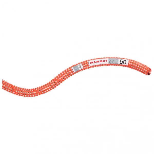 à prix promos Mammut – 9.8 Crag Classic Rope – Corde à Simple 3